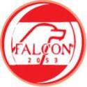 FALCON SAFETY PRODUCTS, INC